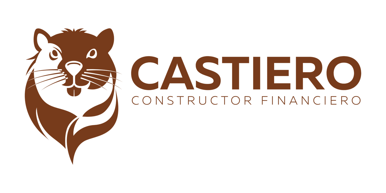 Castiero constructor financiero